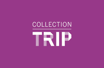 COLLECTION TRIP - fuschia