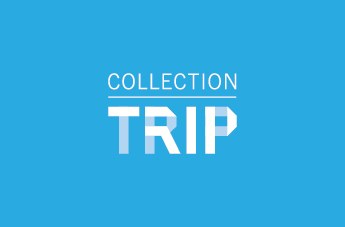 COLLECTION TRIP - turquoise