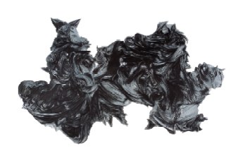 Stephan Balleux
