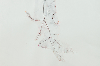 Vincent Chenut