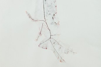 Vincent Chenut